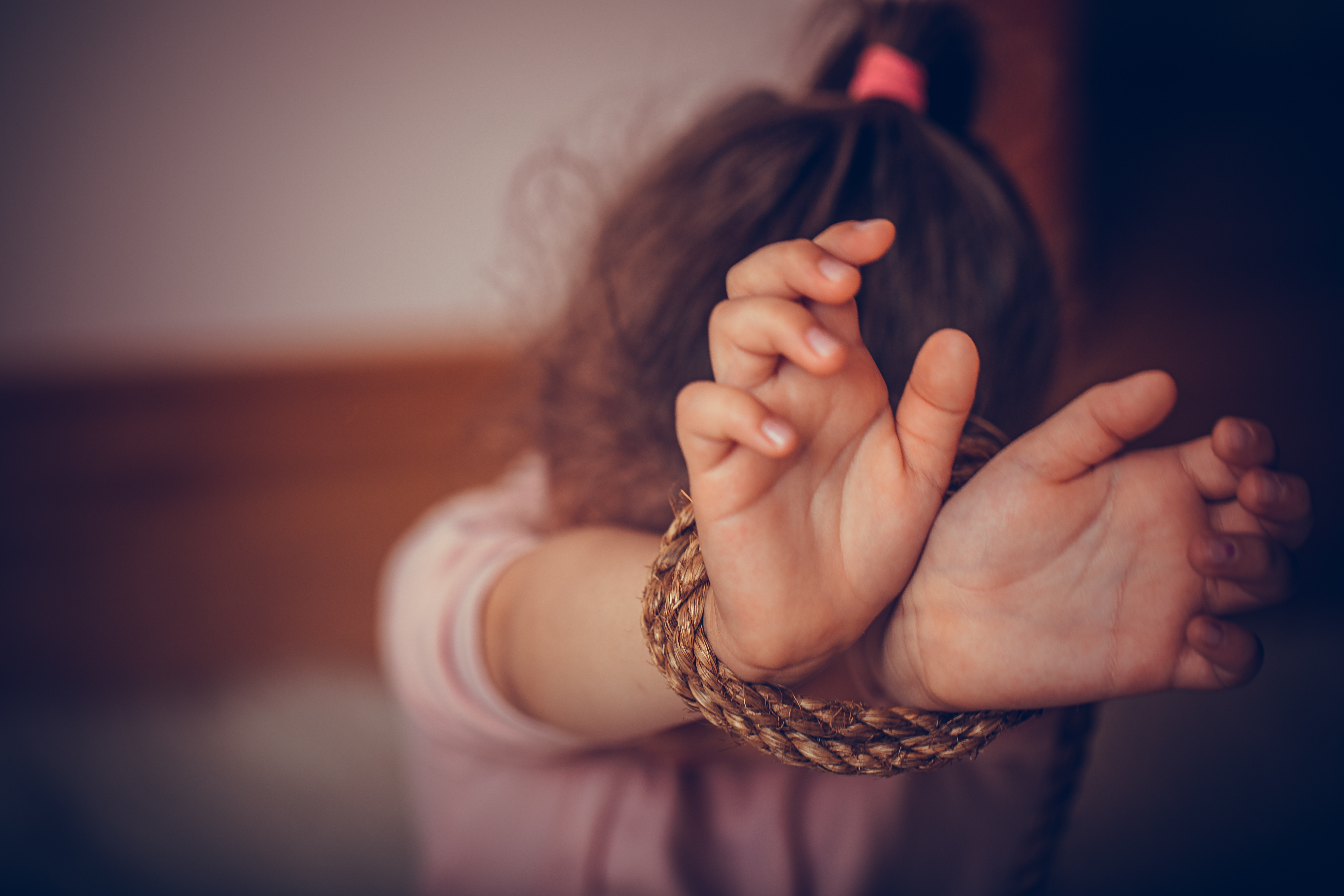 Ansicht: Verordnungsentwurf der Europäischen Kommission zur Bekämpfung des sexuellen Missbrauchs von Kindern im Internet
                            